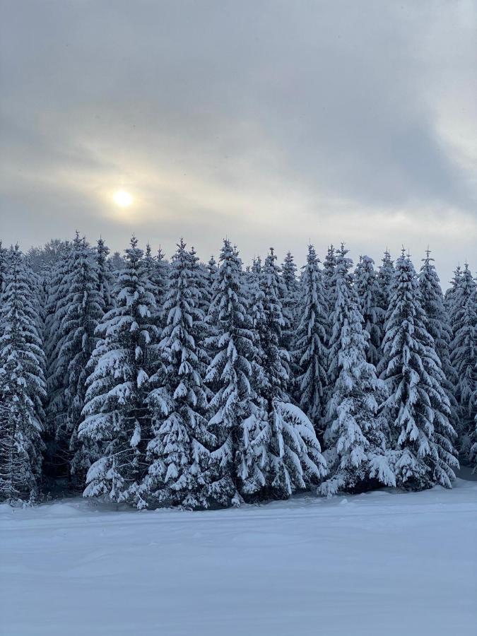 Durmitorska Kuca Villa Žabljak Dış mekan fotoğraf